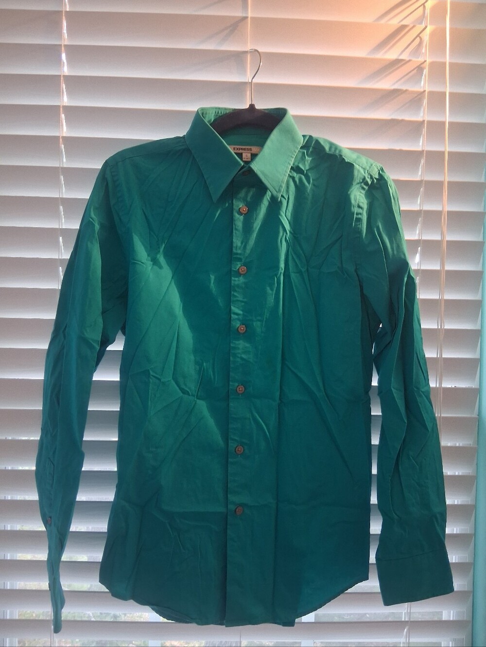 Express Men's Long-Sleeve Teal-Green Dress Shirt
